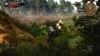 The Witcher 3: Wild Hunt