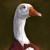 отзывы Fallout 4