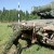 Александр Амельков