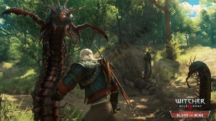 Гайд по прохождению The Witcher 3: Wild Hunt - Blood and Wine