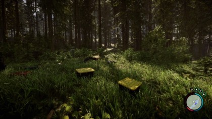 Гайд по прохождению Sons of the Forest