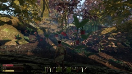 Гайд по прохождению Smalland: Survive the Wilds