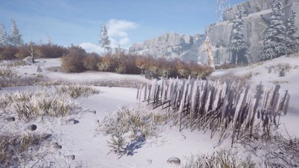 Гайд по прохождению Winter Survival
