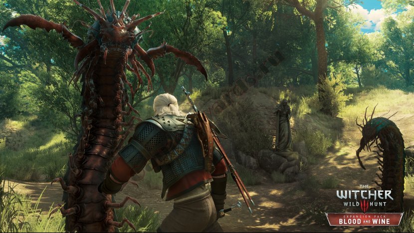 Вся гроссмейстерская броня и где её найти – Гайд по The Witcher 3: Wild Hunt – Blood and Wine