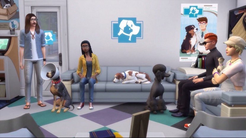 Гайд по прохождению The Sims 4 Cats and Dogs (Симс 4: кошки и собаки)