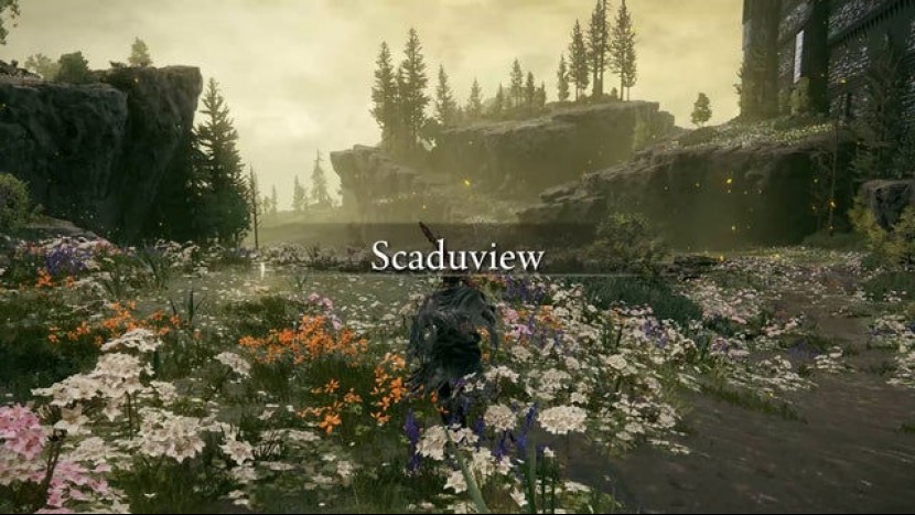 Как добраться до Скадувью (Северо-Восточный регион) в Elden Ring: Shadow of the Erdtree