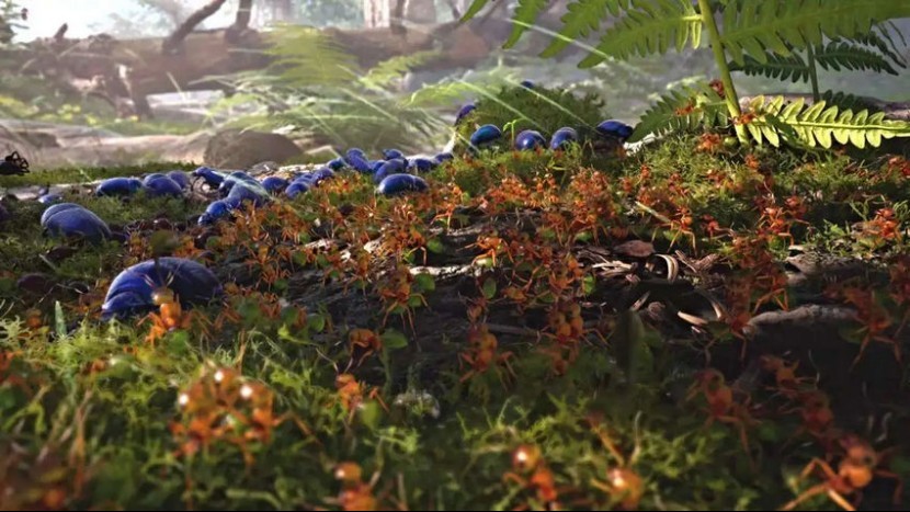 Все легионы и их улучшения в Empire of the Ants