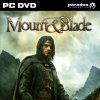 Игра Mount & Blade