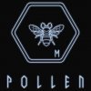Игра Pollen