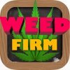 топовая игра Weed Firm