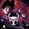 Игра Hollow Knight: The Grimm Troupe