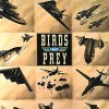 Игра Birds of Prey