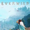 Игра Everwild