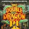 Игра Double Dragon III: The Sacred Stones