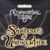 топовая игра Neverwinter Nights: Shadows of Undrentide