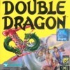 Игра Double Dragon V: The Shadow Falls