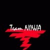 Игра Project Progressive [working codename -- Tecmo project]