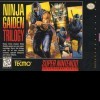 Игра Ninja Gaiden Trilogy