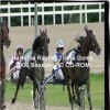 топовая игра Harness Racing Trivia Game: 2006 Season