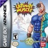 Игра Ultimate Muscle: Path of the Super Hero