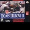 Игра Tecmo Super Bowl III: Final Edition