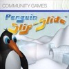 Penguin Slip-Slide