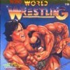 игра от FCI - World Championship Wrestling (топ: 1.6k)