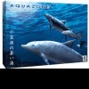 Игра AquaZone: Open Water: Ogasawara