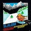 Игра Slalom
