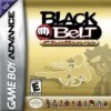 игра от Xicat Interactive - Black Belt Challenge (топ: 1.7k)