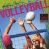 топовая игра Malibu Beach Volleyball