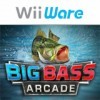 Big Bass Arcade