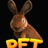 PlayWay S.A. новые игры