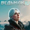 Игра The Witcher 4