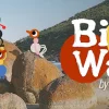Big Walk