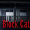 Block Catching
