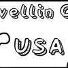 Travellin Cats in USA