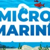 популярная игра Micro Marine