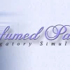 Игра Perfumed Palaces: Purgatory Simulator