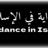 Игра Guidance in Islam