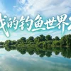 我的钓鱼世界2