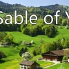 Sable of Y