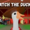 Игра Catch The Ducks