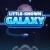 Little-Known Galaxy