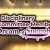 Do Disciplinary Committee Members Dream of Succubi?