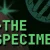 The Specimen