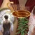 Inspector Sommers in: Ouroborian Madness