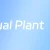 Virtual Plant