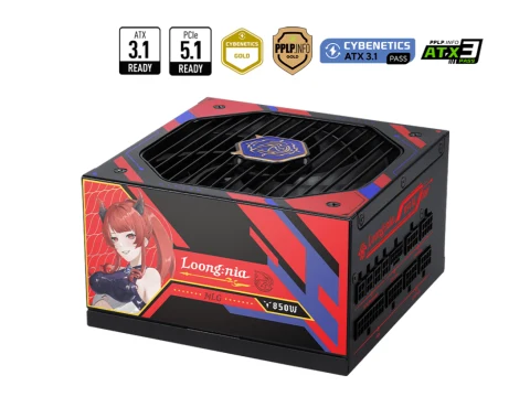 MSI A850GLS MLG EDITION PSU