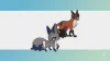 Бестолковый лис Никит получит свой Собит-Дей в Pokémon Go – готовьтесь ловить блестящий хлам!